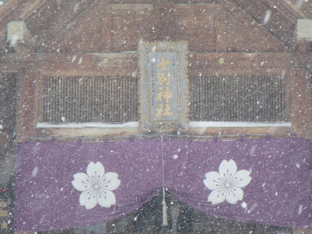 �m�ʐ_�Ж{�a_�m�ʐ_��