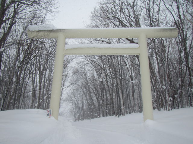 �_�Г쑤����_�m�ʐ_��