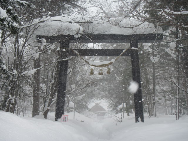 �_�Ж{�a�̎Q��_�m�ʐ_��