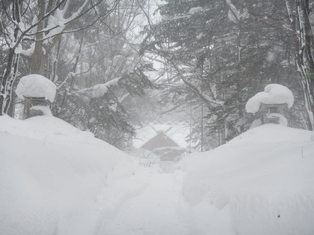 ��ɖ��܂�Q��_�m�ʐ_��