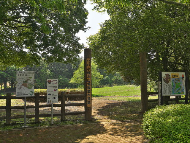 sklfh̏kR֐Ղ̓eʐ^1