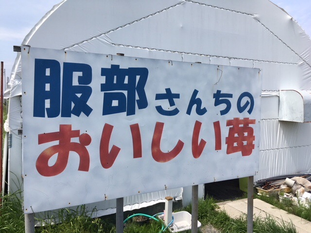 �����̊Ŕ�_�������񂿂̂��������