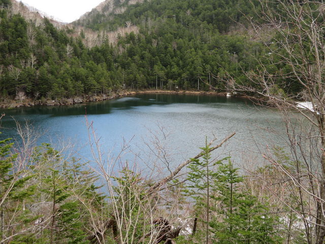 �߂Â��Ȃ��I_��~��