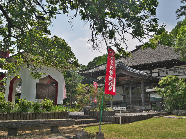 sklfh̎l\û݂ł鎛v^̓eʐ^1