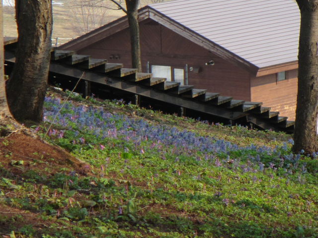 LṽoK[̃J^NQ_]Oʎ҂̋O[p[N