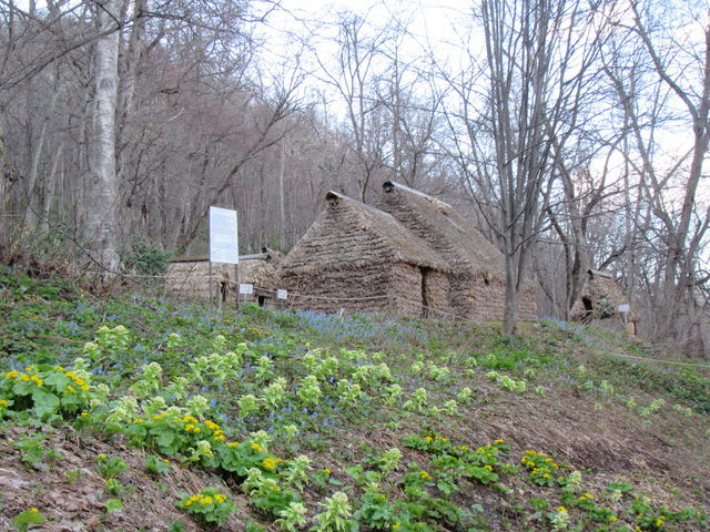 �`�Z_�`�Z�i�`���̃R�^���j