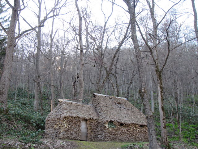 �`�Z�̗l�q_�`�Z�i�`���̃R�^���j