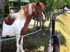 ����݂���̃O���[���t�@�[���ւ̓��e�ʐ^1