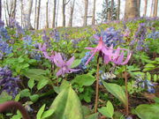 ̍]Oʎ҂̋O[p[N̓eʐ^3