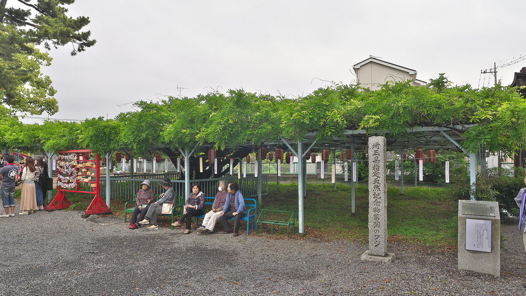 東武動物公園駅周辺の動物園 植物園ランキングtop10 じゃらんnet