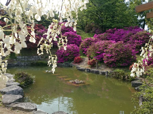 ǂ݂̑̃TcLEccW̓eʐ^5