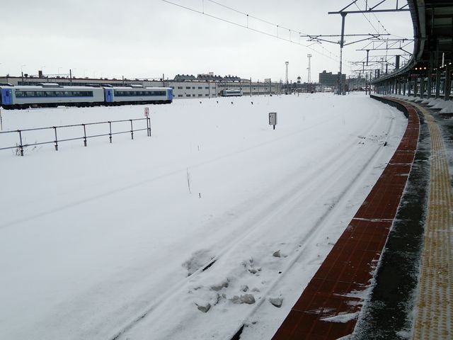 �z�[������̐�i�F_�i�q���ىw