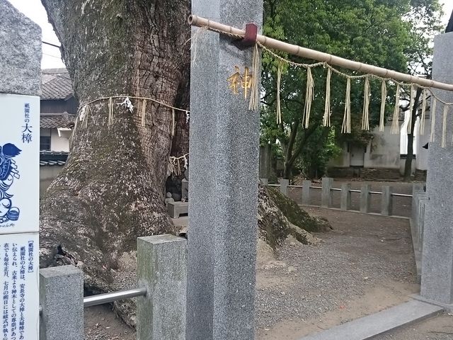 �叾_�{��_�Ђ̑叾