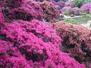 ǂ݂̑̃TcLEccW̓eʐ^3