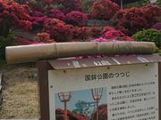 ǂ݂̑̃TcLEccW̓eʐ^4