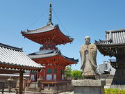 marimari����̒������̓��e�ʐ^1