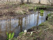 񂳂̃|g΃~YoVE̓eʐ^1