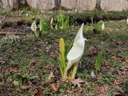 񂳂̃|g΃~YoVE̓eʐ^2