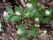 񂲂邳̔򕬓u̓eʐ^1