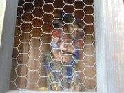 �T�r�L����̐��ˈ��̓��e�ʐ^2