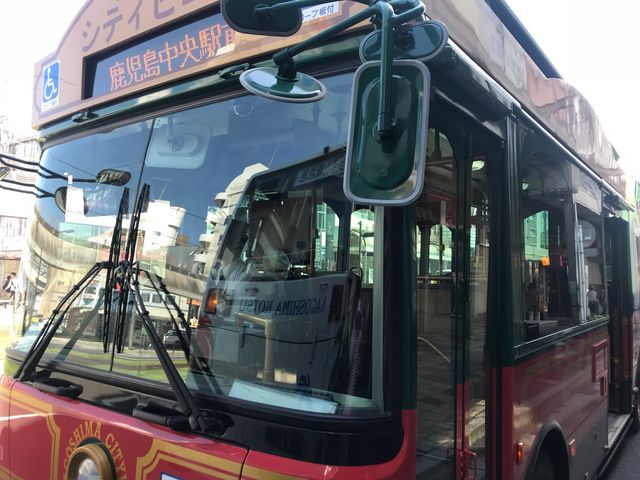 �V���كo�X��̃J�S�V�}�V�e�B�r���[_�J�S�V�}�V�e�B�r���[