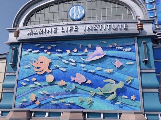 �V�[���C�_�[��90cm�ȏ�ł����B_�����f�B�Y�j�[�V�[(R)