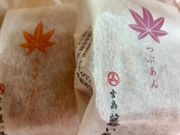 ͂͂͂邳̓ LwVXXX̓eʐ^1