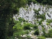 ���Ȃ���̃^�u�m�L�i�^�u�j�̓��e�ʐ^1