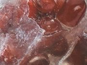 񂯂񂳂̐璹tX̓eʐ^1