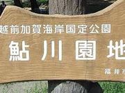 tXs[ḧ쉀nLv̓eʐ^1