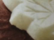 񂯂񂳂̐璹ɔVkX̓eʐ^1