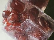 񂯂񂳂̐璹ɔVkX̓eʐ^1