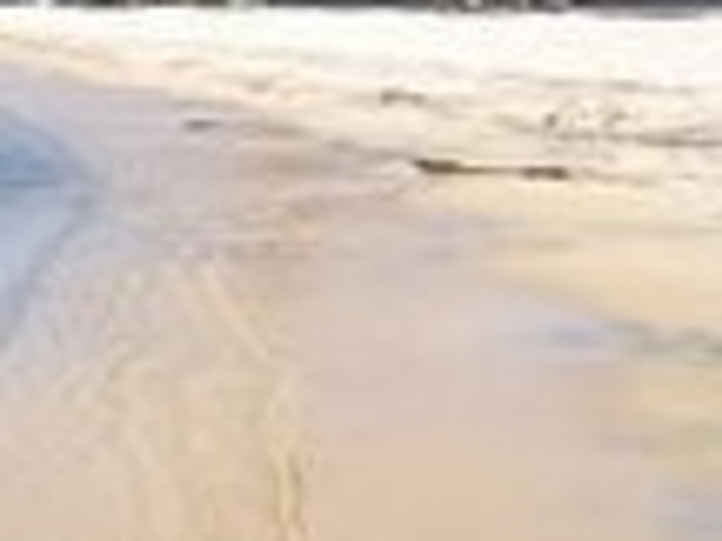 福井のビーチ 海水浴場ランキングtop10 じゃらんnet