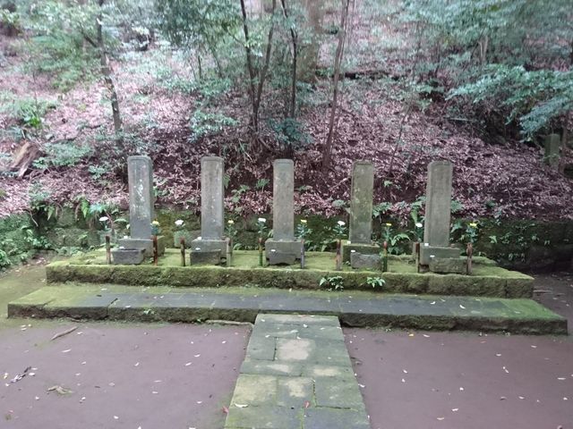 �k���ܑ�̕�_���_��