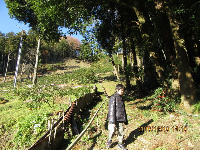 �����A�݂���H�ׂ��B_����ό��݂���g��