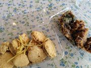 JR̊C̉wƂޒ̏̓eʐ^1