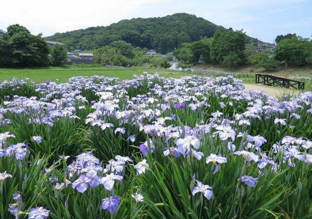 埼玉の動物園 植物園ランキングtop10 じゃらんnet