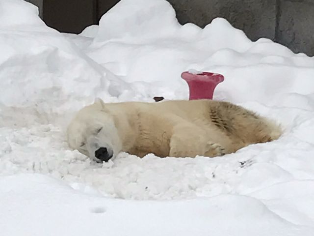 ���낭��_�~�R������