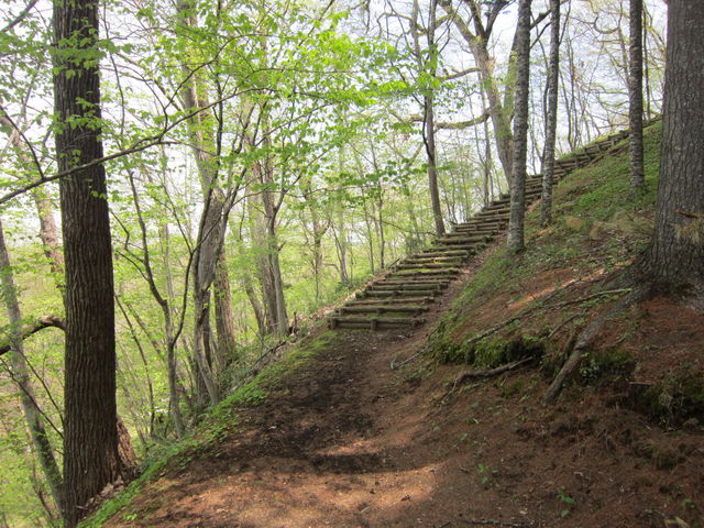 bippo̒ÕʎR^V̓eʐ^1