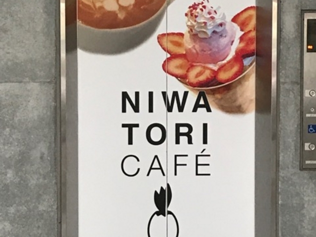 }X^[hNIWATORI CAFE̓eʐ^1