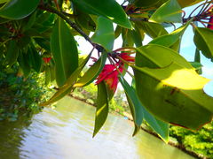 wx|̖` ꑍAEghAcA[Xւ̓eʐ^1