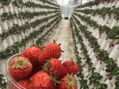 ̂肱̃t[ct@[ʊyyւ̓eʐ^1