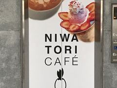 }X^[hNIWATORI CAFEւ̓eʐ^1