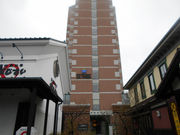 asuka̔ق܂邩Y {X̓eʐ^1