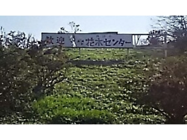 ���ԏꂩ��B�e�B_�ό����������@�x���[�����n�E�X