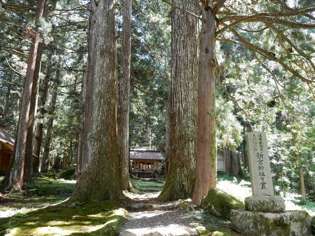 w-masa̓ߔV{_Ђ̓eʐ^2