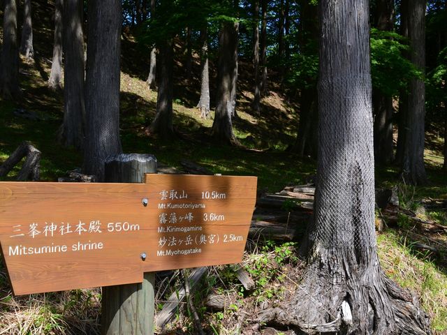 �Ȃ�ƎR���܂�10km�c_�_��R�i��ʌ������s�j