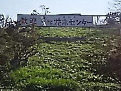 ssaws����̊ό����������@�x���[�����n�E�X�ւ̓��e�ʐ^1