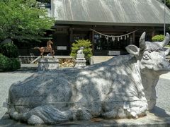 ���ق���̑��_���{�ւ̓��e�ʐ^1