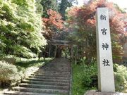 w-masa̓ߔV{_Ђ̓eʐ^1